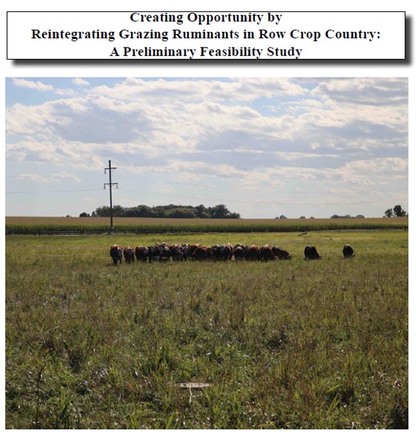 cover image for Reintegrating Ruminant Grazing in Row Crop Country