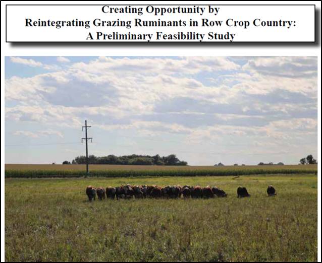 cover image for Reintegrating Ruminant Grazing in Row Crop Country